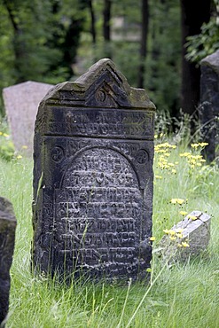 Gravestones in the old Jewish cemetery in the Josefstadt, or Josefov quarter of Prague, Czech Republic, Europe