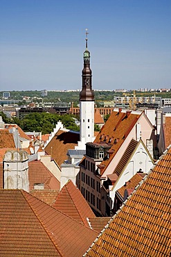 View from the limestone hill of Tompea in the centre of Tallinn, Estonia, Baltic States, North Europe