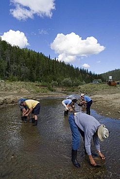 Men, gold panning on Gold Bottom Creek, Klondike gold rush, Dawson City, Yukon Territory, Canada, North America