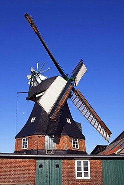 Goetzberg Mill, historic windmill, dutch style with venetian blind style wings and a wind rose, Goetzberg, Henstedt-Ulzburg, Segeberg district, Schleswig-Holstein, Germany, Europe