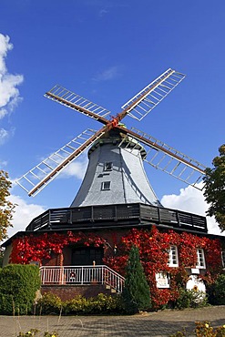 Historic windmill in dutch style, Pirsch Mill, Hamfeld Mill, restaurant, hotel, Hamfelde, Herzogtum Lauenburg, Schleswig-Holstein, Germany, Europe