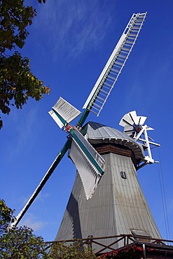 Braaker mill, historic windmill with wind rose, two-storey dutch style windmill, Braak, Stormarn administrative area, Schleswig-Holstein, Germany, Europe