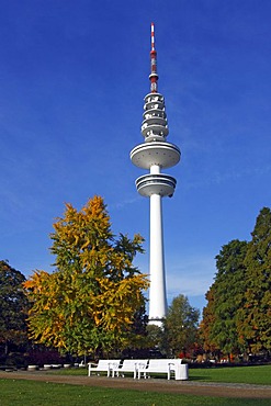 Tele-Michel, the Hamburg telecommunications or television tower, also called the Heinrich-Hertz-Turm, rising over parkland called "Planten un Blomen", Hamburg, Germany, Europe