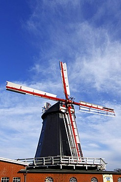 Historic windmill in Bardowick, Galleriehollaender with wind rose, Meyer's Windmuehle, Bardowick, Lueneburg district, Lower Saxony, Germany, Europe