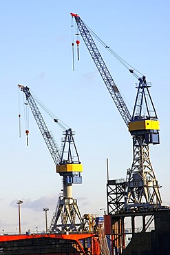 Cranes in the port of Hamburg on the docks of the Blohm and Voss shipyard, Hamburg, Germany, Europe