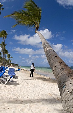 Security man on a sandy beach, Coconut Palms (Cocos nucifera), Punta Cana, Dominican Republic, Central America