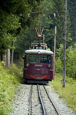 Train Jeanne Tramway du Mont Blanc rides through the forest Haute-Savoie France