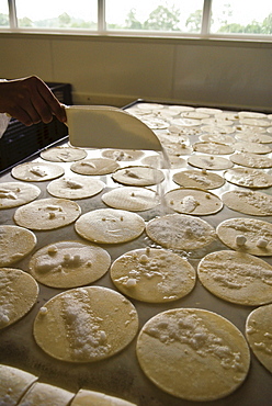 Making of cheese, conservation in brine