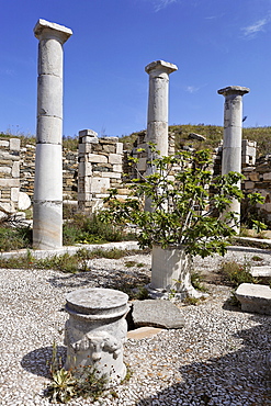 House of Inopos , Delos, Greece