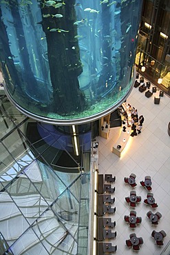 Aquadom in Berlin - Europe's largest free standing aquarium with a height of about 25 meters and a volume of 1 million litre of water. Inner court of Radisson hotel, Mitte, Berlin, Germany, Europe