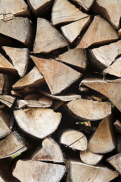 Split tree stumps in a pile, Eyachtal, Northern Black Forest, Baden-Wuerttemberg, Germany, Europe