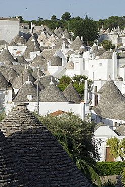 Trulli, conical buildings, Alberobello, UNESCO World Cultural Heritage Site, Apulia, Southern Italy, Europe