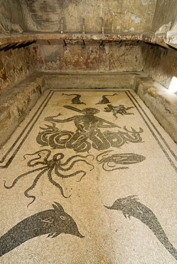 Mosaic floor in Apodyterium, women's thermal baths, Roman excavation site, Herculaneum, Ercolano, Naples, Campania, Italy, Europe