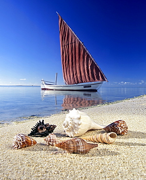 Shells on the beach, sailboat, calm lagoon, Maldives, Indian Ocean