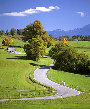 Winding country road near Riegsee Lake during fall, Upper Bavaria, Bavaria, Germany, Europe