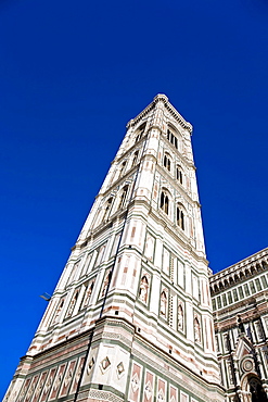 Giottos bell tower with the Santa Maria del Fiore Florence Tuscany Italy