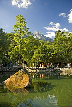 Park with old Trees at the Voroncov Palace, Jalta, Crimea, Ukraine, South-Easteurope, Europe,