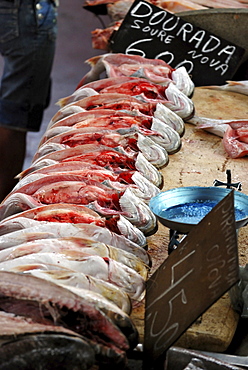 Fish Market "Ver-O-Peso", Belem, Para, Brazil