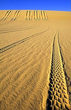 Tracks in the desert sand, Sahara, Libya