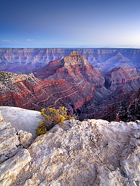 Cape Royal, North Rim, Grand Canyon National Park, Arizona, USA