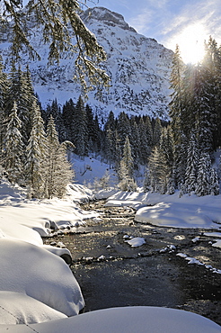 Baerguntbach, Kleinwalsertal, Austria, Europe