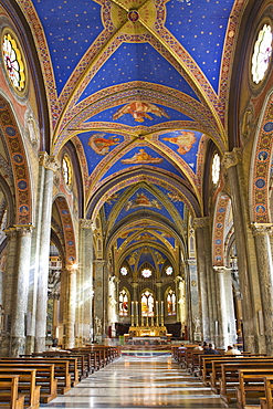 Interior view of Santa Maria sopra Minerva Church (Gothic church), Rome, Italy, Europe