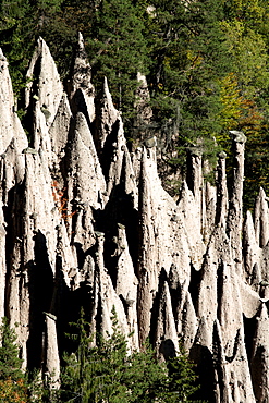 Earth pyramids at the Ritten near Lengmoos, South Tyrol, Italy