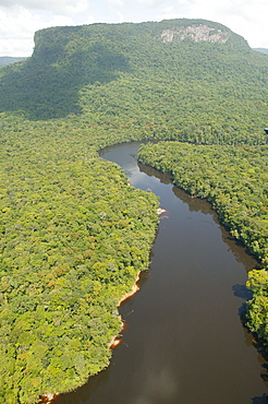 Aerial view of rainforest and tributary to Kaieteur Waterfalls, Guyana, South America