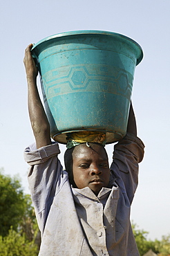 Boy carrying a pail of water on his head, Sahel region, Cameroon, Africa