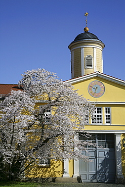 Marstall, stable, Schloss Wilhelmshoehe Palace, Kassel, Northern Hesse, Germany, Europe