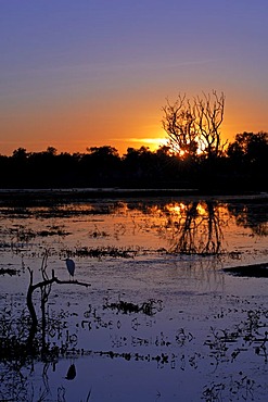 Sunrise on yellow water lagune, kakadu NP, australia