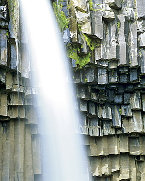 Svartifoss, "Black Waterfall, " with basalt columns, Skaftafell National Park, southeast Iceland, Iceland