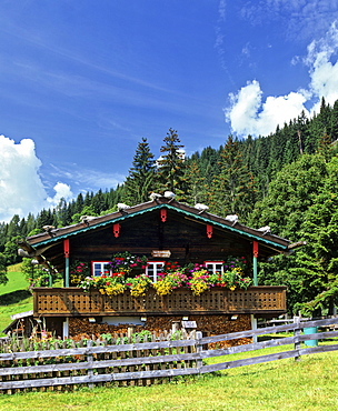 Log cabin with balcony and flower boxes at the edge of the forest in Styria, Austria, Europe