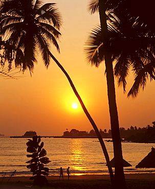 Palm trees and sunset, Goa, India