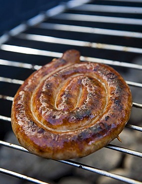 Barbecue food: snail sausage