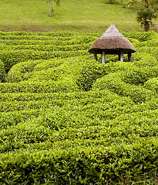 Labyrinth in Glendurgan Garden, Cornwall, England, Great Britain