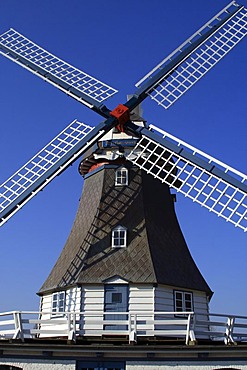 Old windmill build in dutch style - Friedrichskoog, Dithmarschen, Schleswig-Holstein, Germany, Europe