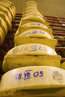 Gstaad, Che, 23.07.2006: Cheese maturing storage of the dairy Gstaad.