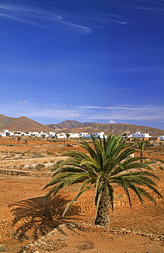 Typical landscape close to Tiscamanita, Fuerteventura, Canary Islands, Spain