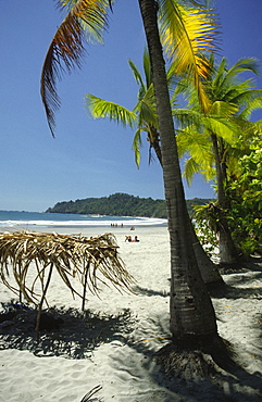 Playa Matapalo, Central Pacific coast, Costa Rica, Central America