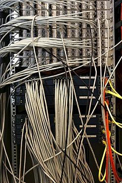 DEU Germany : Cable of a computer server center of a company. |