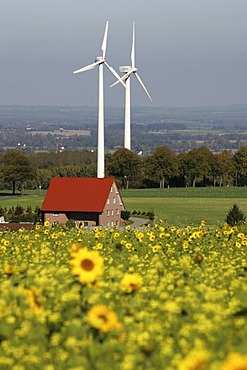 Wind turbines, wind power stations near Soest, North Rhine-Westphalia, Germany