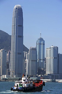 Hongkong Island Skyline, IFC Tower, Hongkong, China