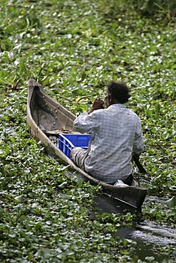 Backwaters, Kerala, India