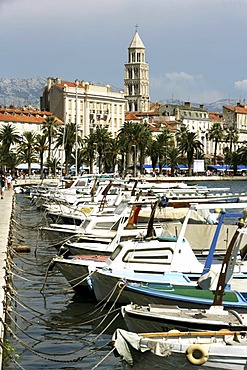 Old part of town, tower of the Sveti Duje cathedral, Split, Middle Dalmatia, Croatia