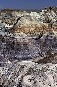 USA, United States of America, Arizona: Petrified Forest National Park. Park with bizarre erosion landscape, Painted Desert area and petrified trees.. Navajo Indian Reservation.