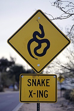 USA, United States of America, Arizona: Roadsign warning of snakes, crossing the road.