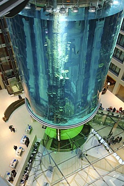 DEU, Germany, Berlin : Aquarium in the lobby of the Radisson SAS Hotel. Visitor can view the sealife from the inside the 14 meter hight basin, by using a lift.