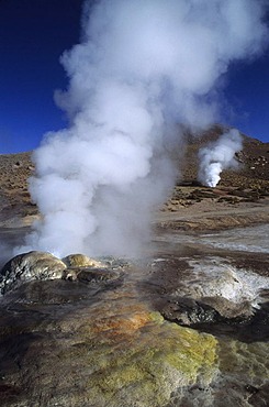 CHL, Chile, Atacama Desert: the hot springs and geysers of El Tatio.