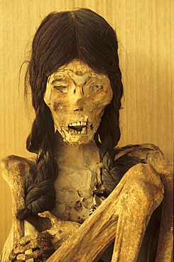 CHL, Chile, Atacama Desert: Miss Chile, the mummy of a woman, La Paige Museum in San Pedro de Atacama.